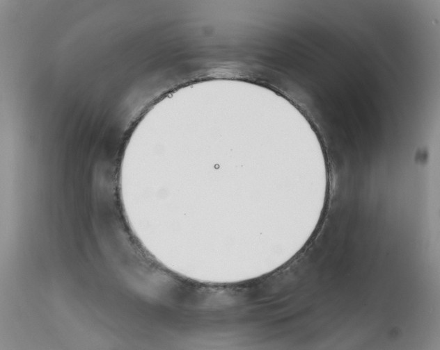 X0000111510297200908251120