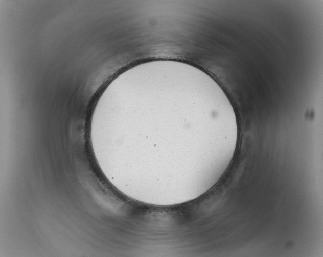 X0000111510299200908251120