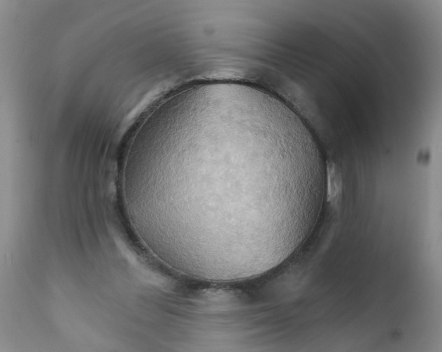 X0000111510300200908251120