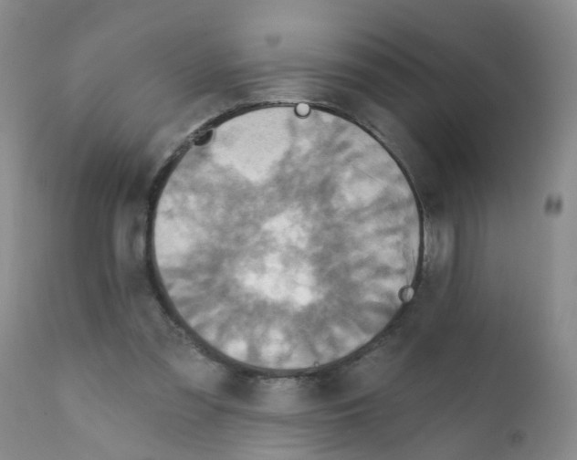 X0000111510301200908251119