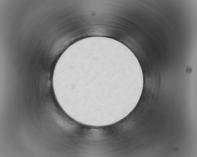X0000111510302200908251119