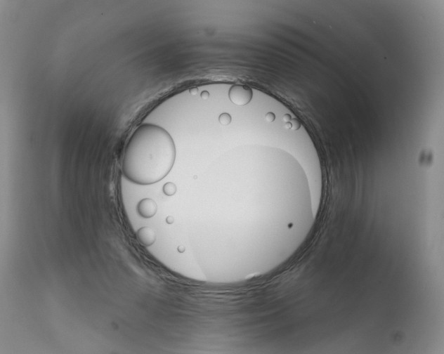 X0000111510303200908251119