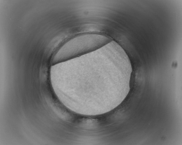 X0000111510304200908251119
