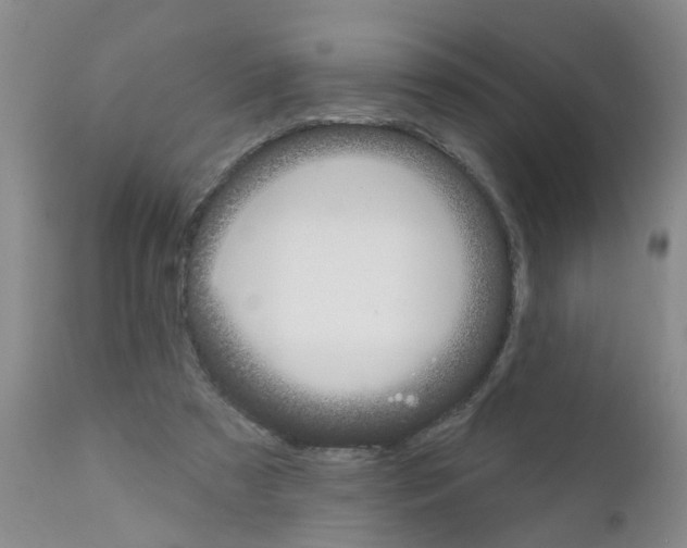 X0000111510305200908251119
