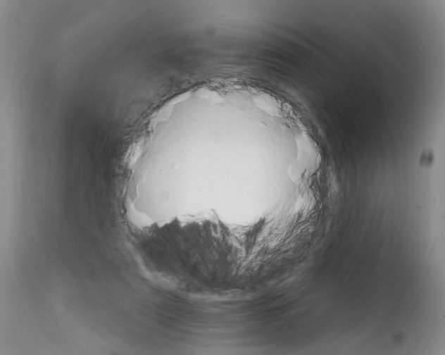 X0000111510307200908251119