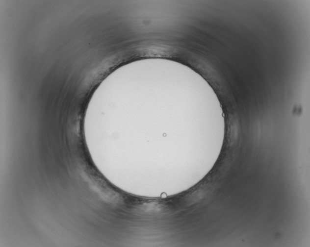 X0000111510310200908251119