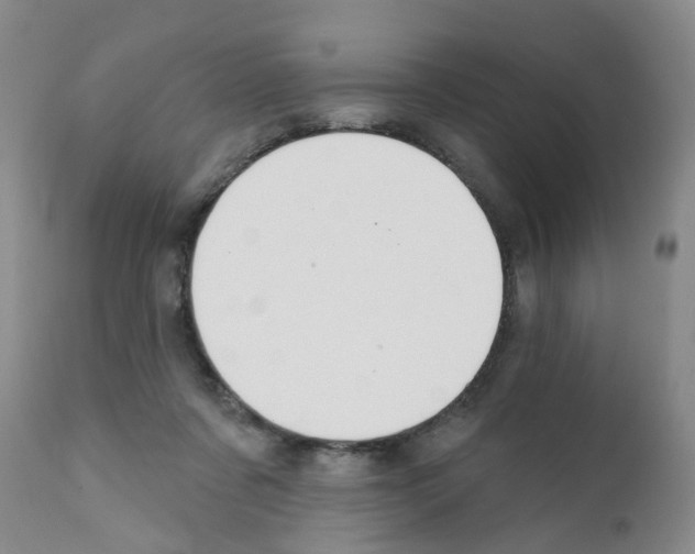 X0000111510311200908251119