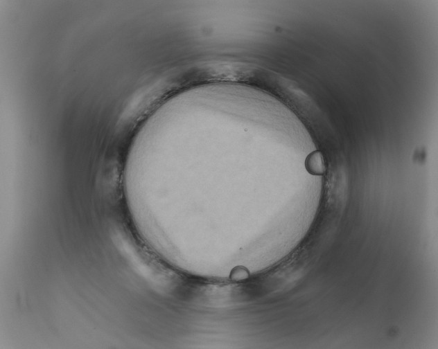 X0000111510314200908251119