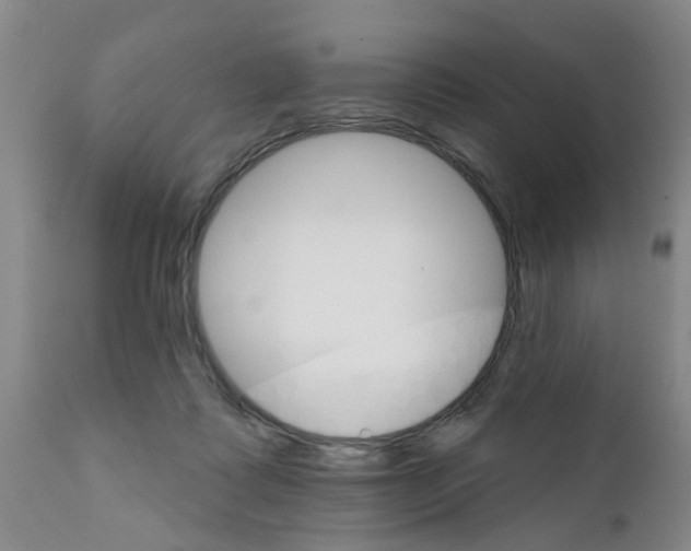 X0000111510315200908251119