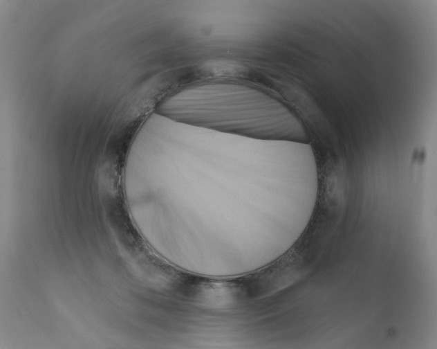 X0000111510316200908251119