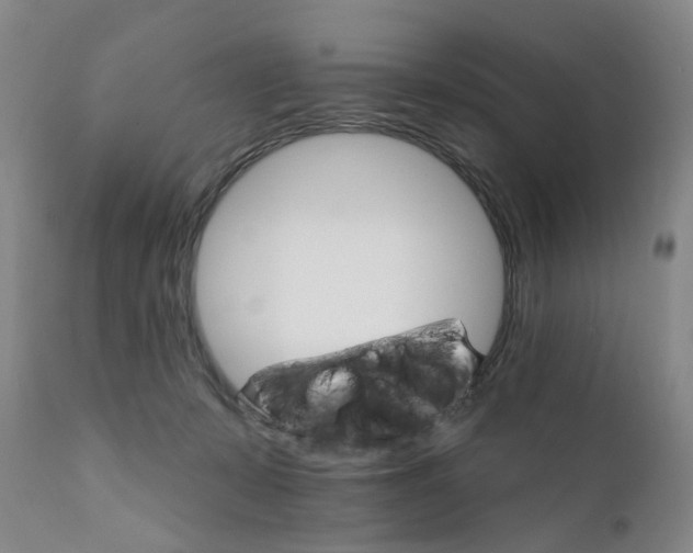 X0000111510319200908251119