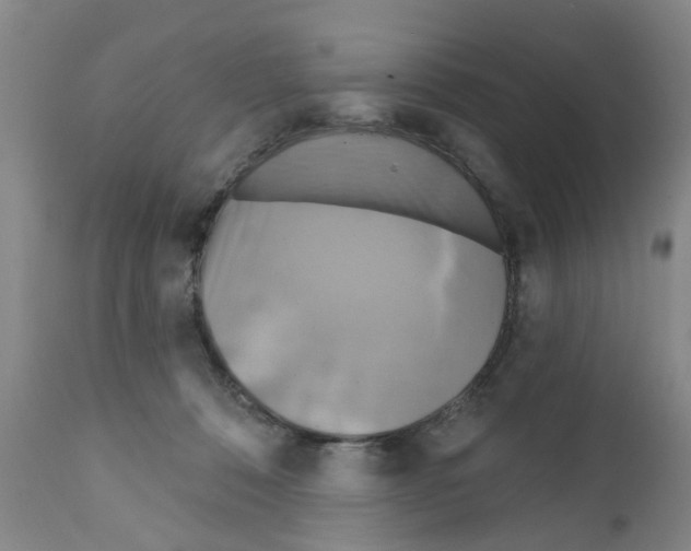 X0000111510320200908251119
