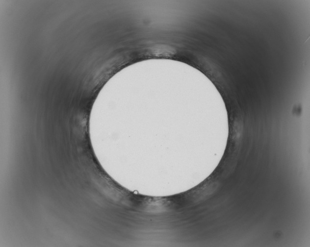 X0000111510321200908251119