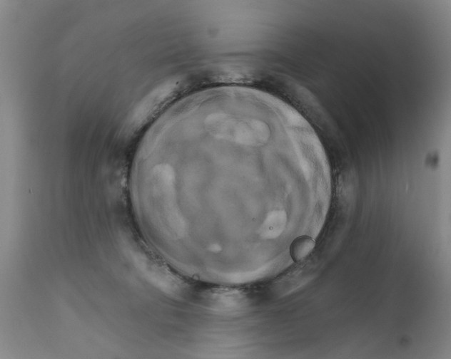 X0000111510322200908251119