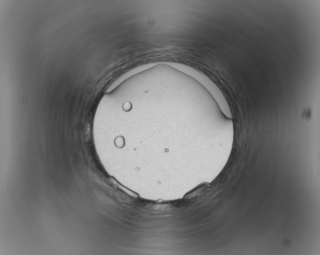 X0000111510324200908251119