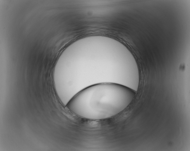 X0000111510325200908251119