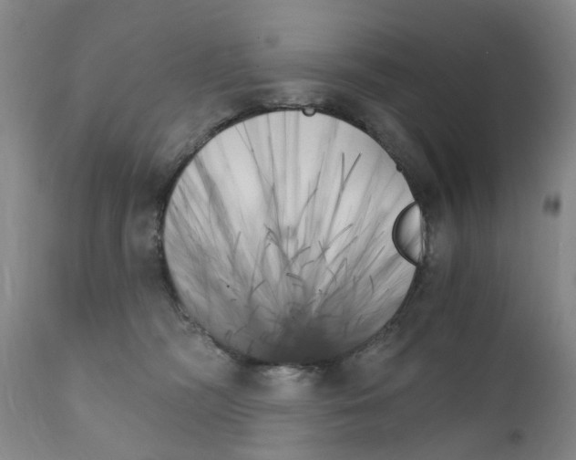 X0000111510326200908251119