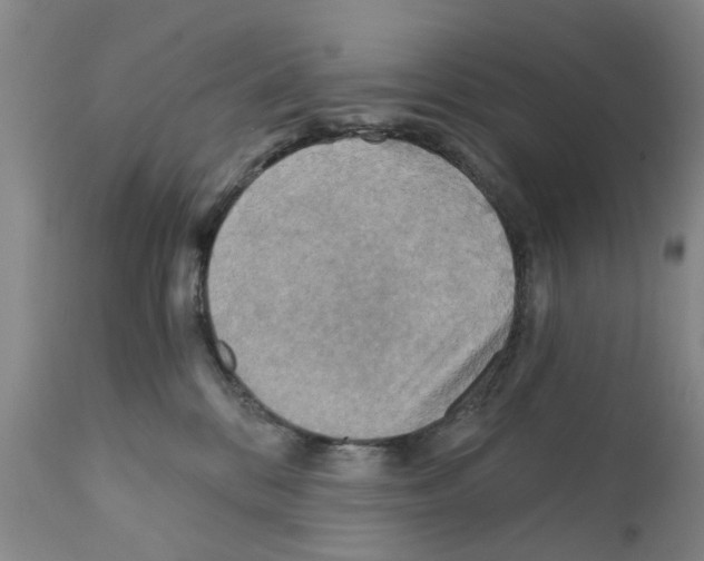 X0000111510328200908251119