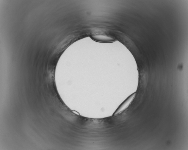 X0000111510329200908251119