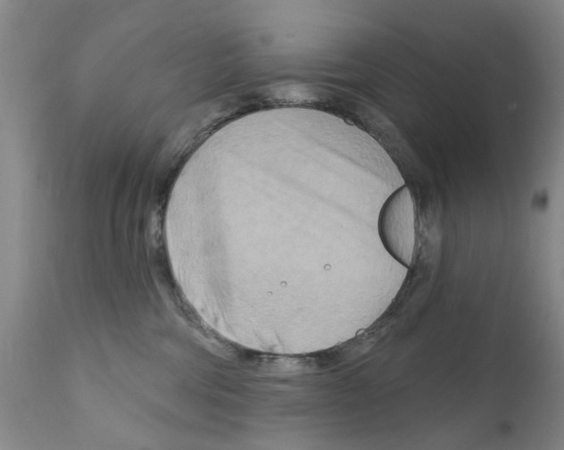 X0000111510330200908251119