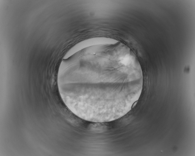 X0000111510331200908251119