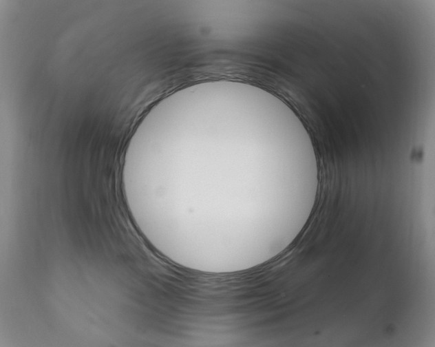 X0000111510333200908251119