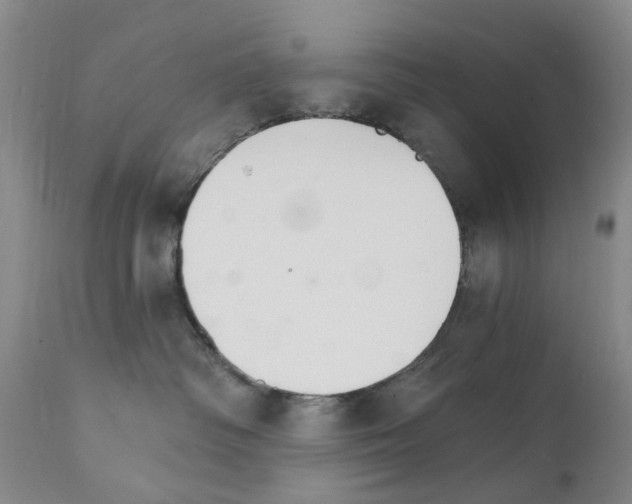 X0000111510334200908251119