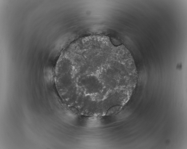 X0000111510335200908251119