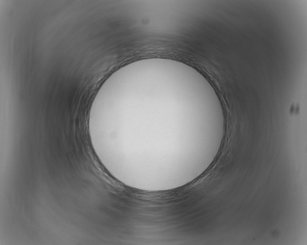 X0000111510336200908251119