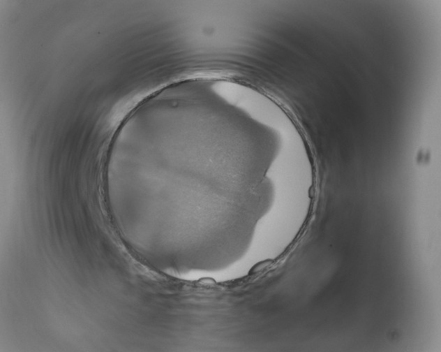X0000111510337200908251118