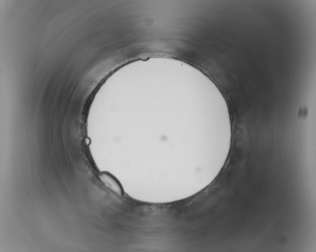 X0000111510338200908251118