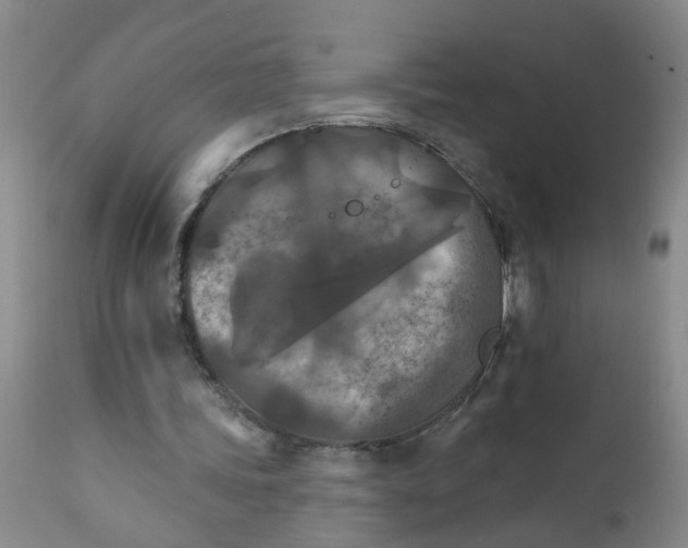 X0000111510339200908251118