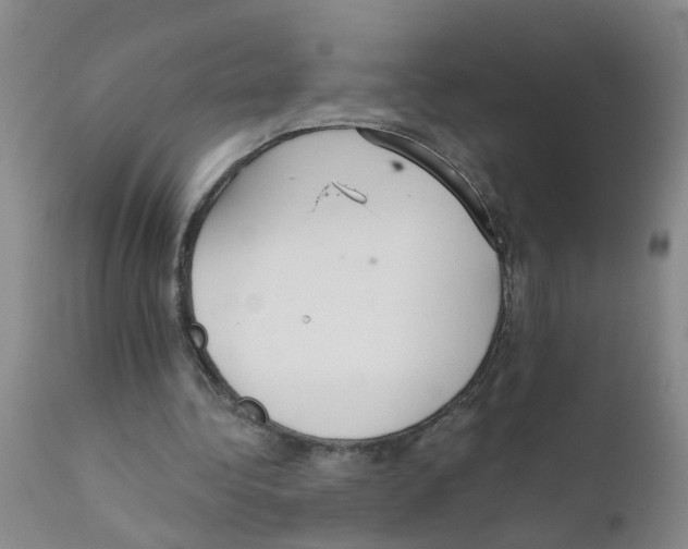 X0000111510340200908251118
