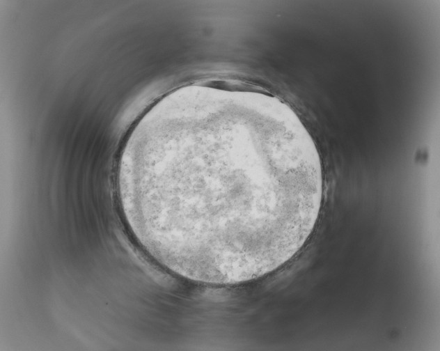 X0000111510341200908251118