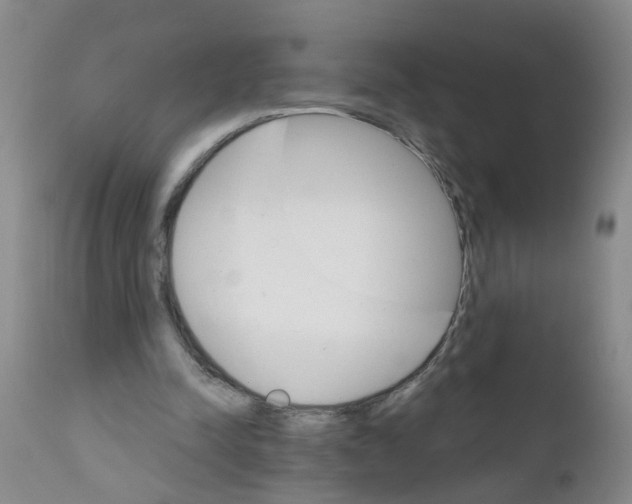 X0000111510342200908251118