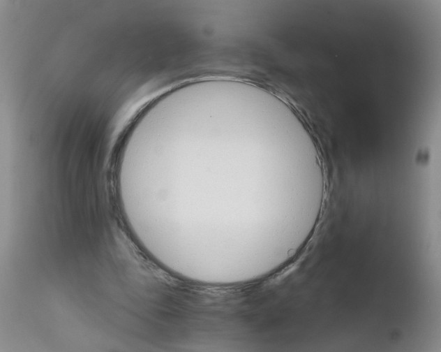 X0000111510343200908251118
