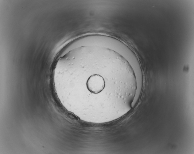 X0000111510344200908251118