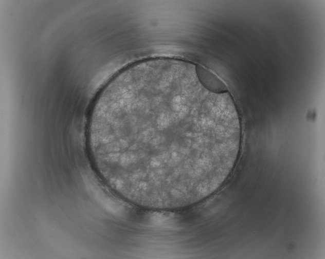 X0000111510346200908251118