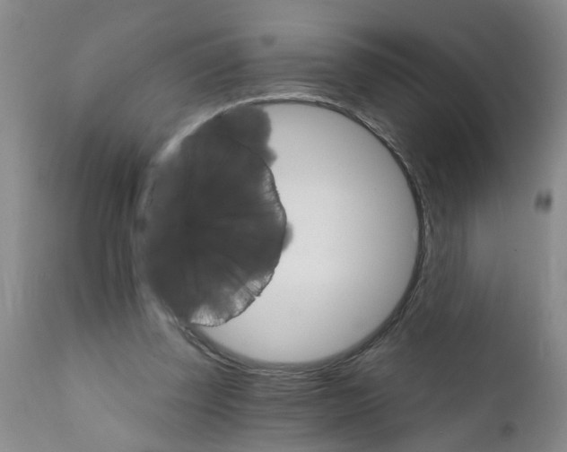 X0000111510347200908251118