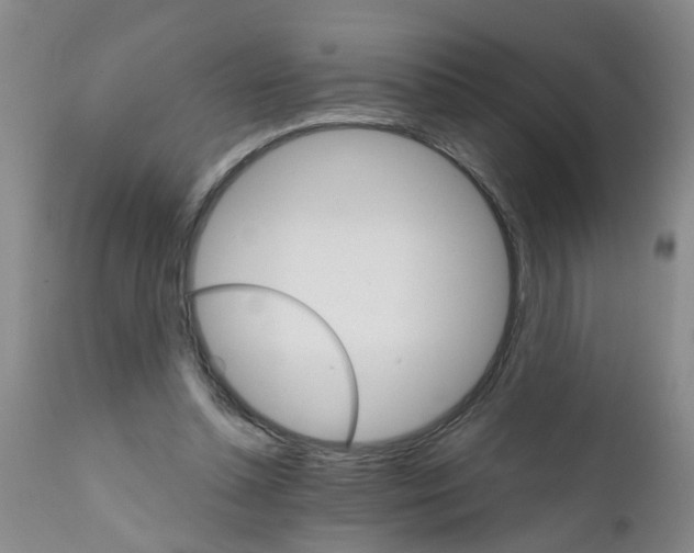 X0000111510348200908251118
