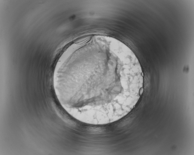 X0000111510349200908251118