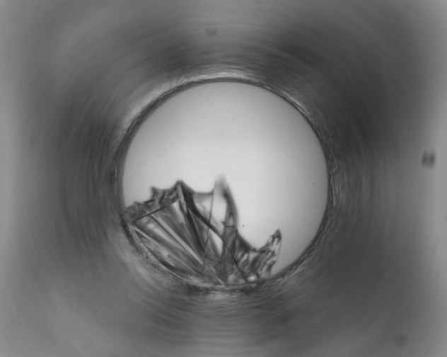 X0000111510350200908251118