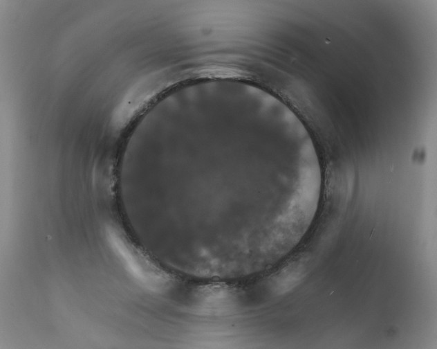 X0000111510351200908251118