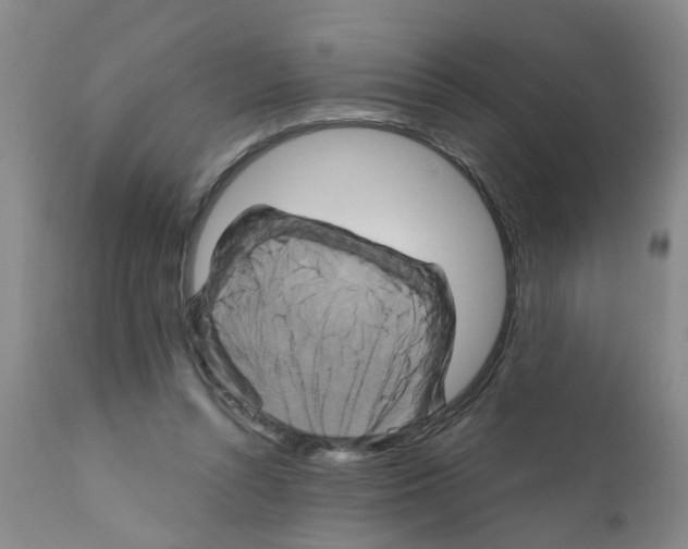 X0000111510352200908251118