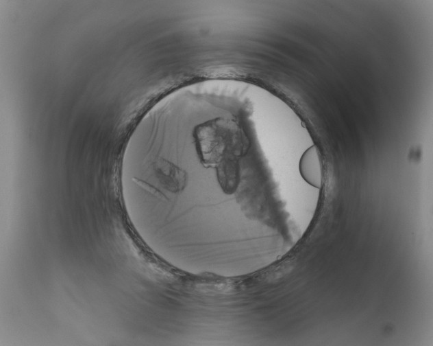 X0000111510353200908251118