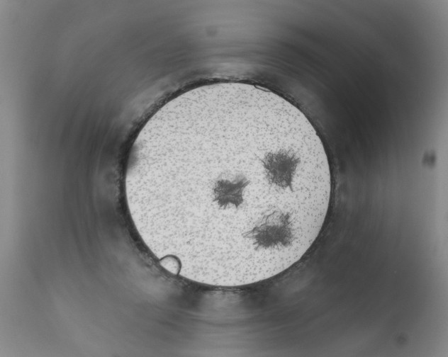 X0000111510354200908251118