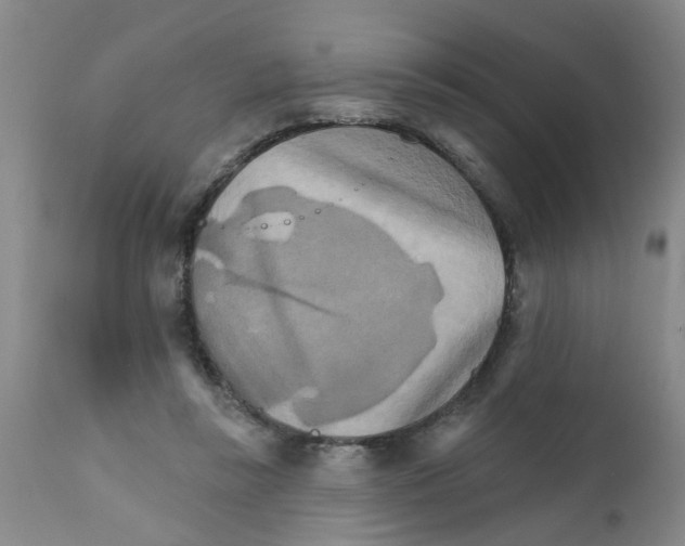 X0000111510355200908251118