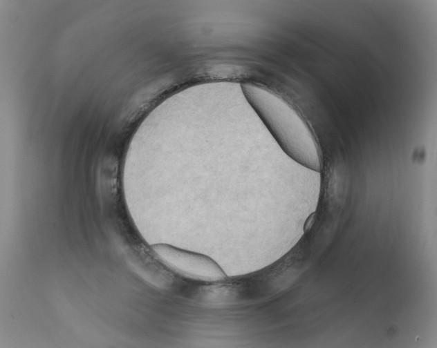 X0000111510356200908251118