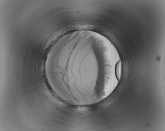 X0000111510357200908251118