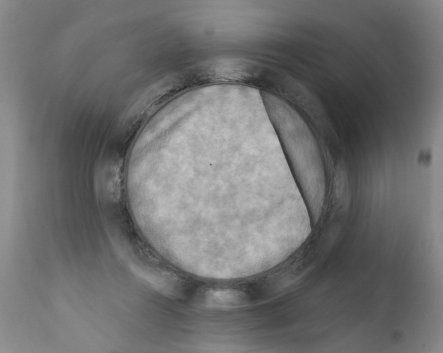 X0000111510360200908251119